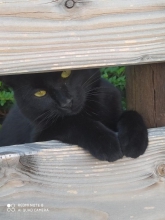 fewo-leindorado ferienwohnung leinzell