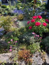 fewo-leindorado ferienwohnung leinzell